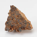 NWA 2849 Meteorite | 5.5 grams | Part Slice | L4 | Low TKW 3