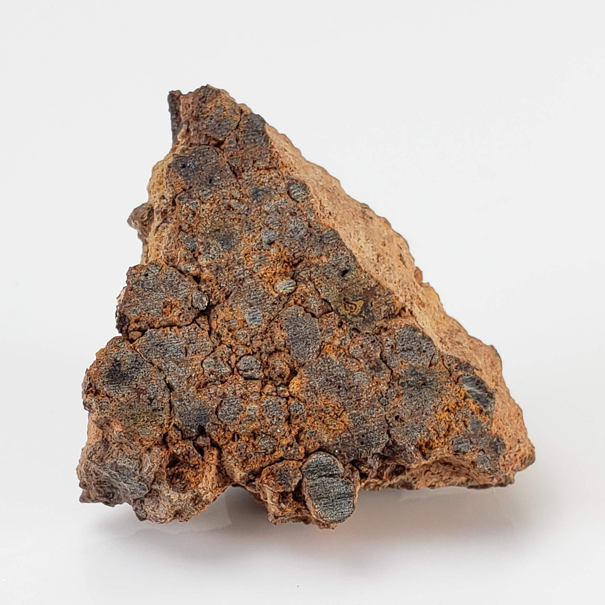 NWA 2849 Meteorite | 5.5 grams | Part Slice | L4 | Low TKW 3