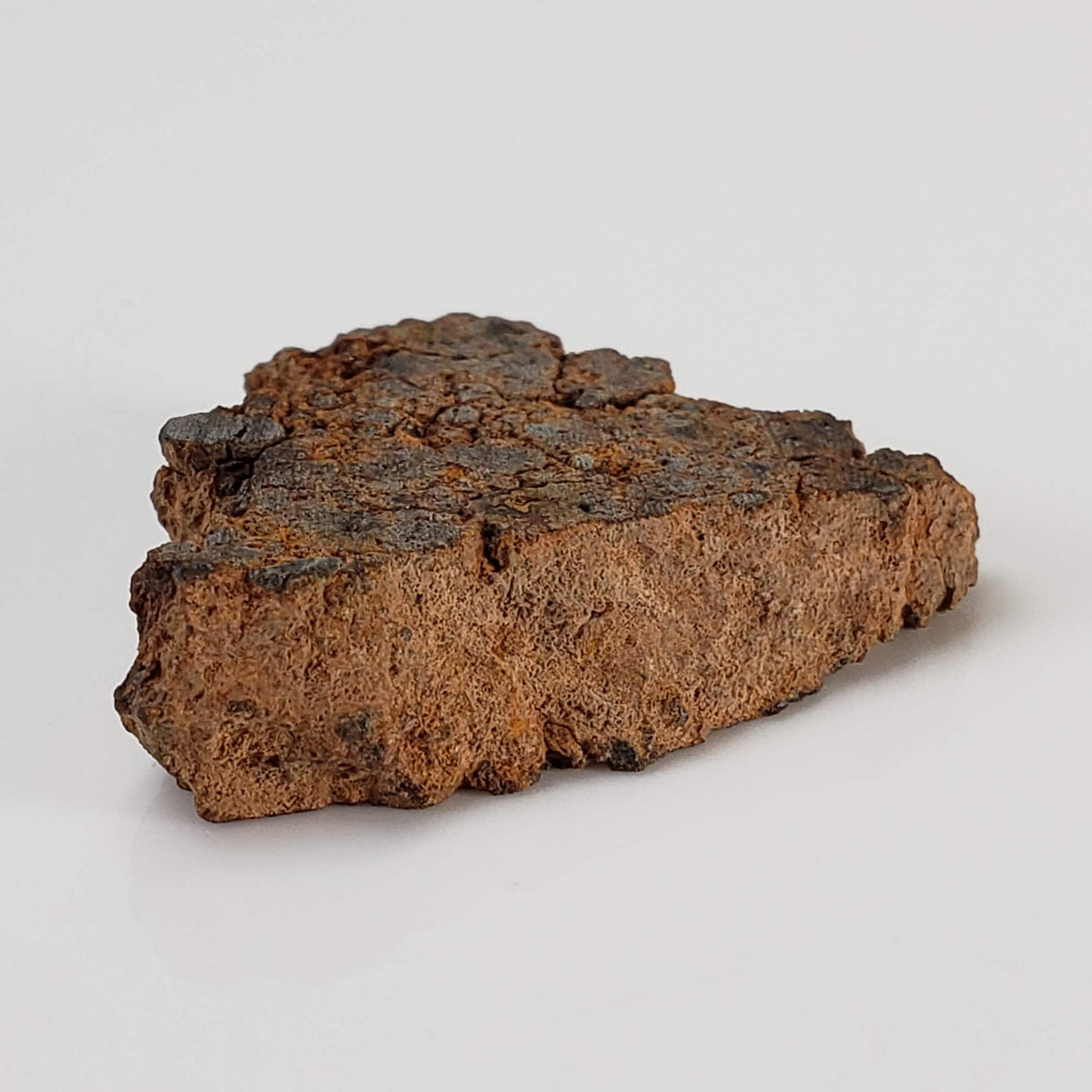 NWA 2849 Meteorite | 5.5 grams | Part Slice | L4 | Low TKW 4