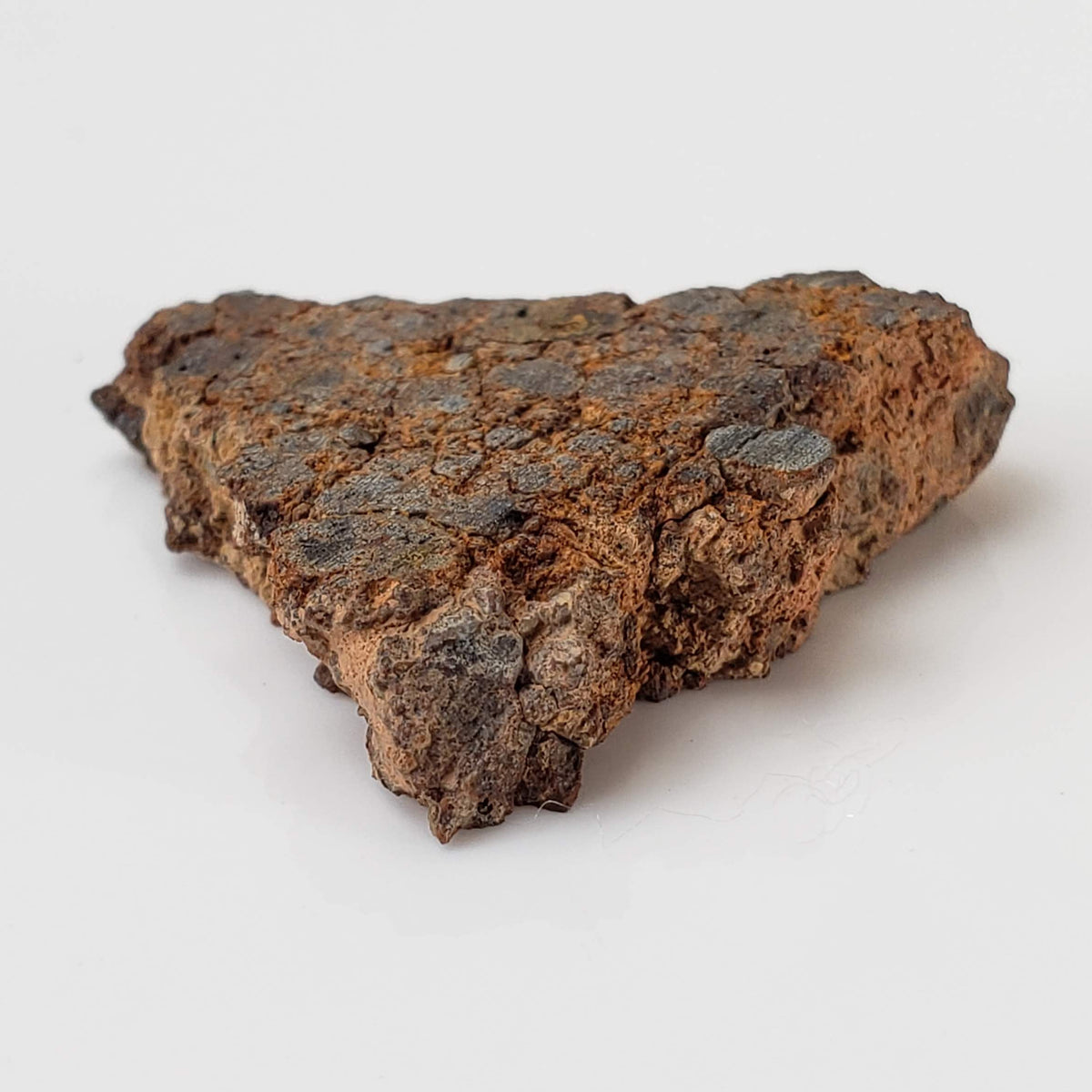 NWA 2849 Meteorite | 5.5 grams | Part Slice | L4 | Low TKW 5