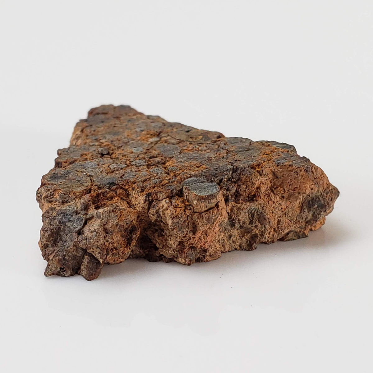 NWA 2849 Meteorite | 5.5 grams | Part Slice | L4 | Low TKW 7