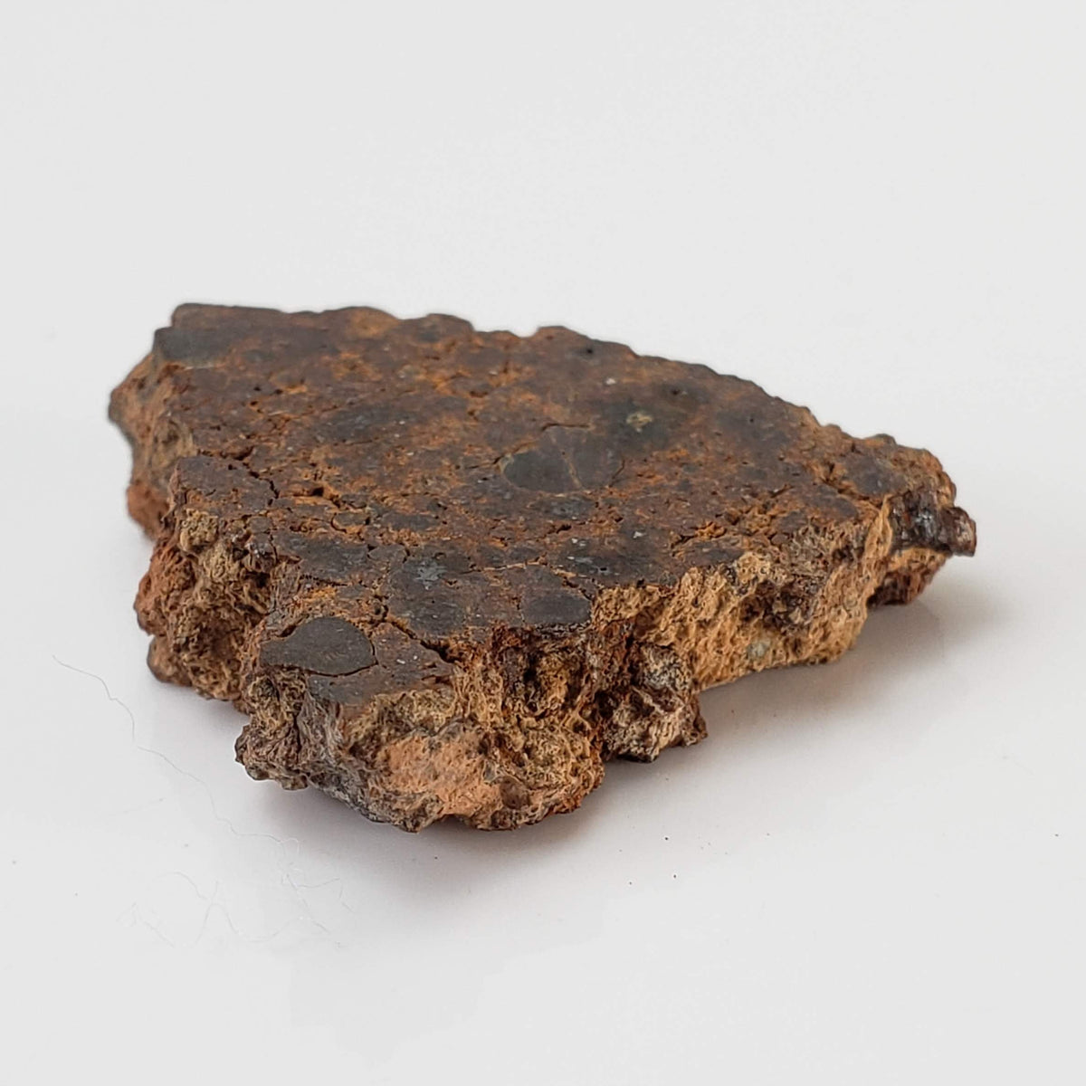 NWA 2849 Meteorite | 5.5 grams | Part Slice | L4 | Low TKW 2