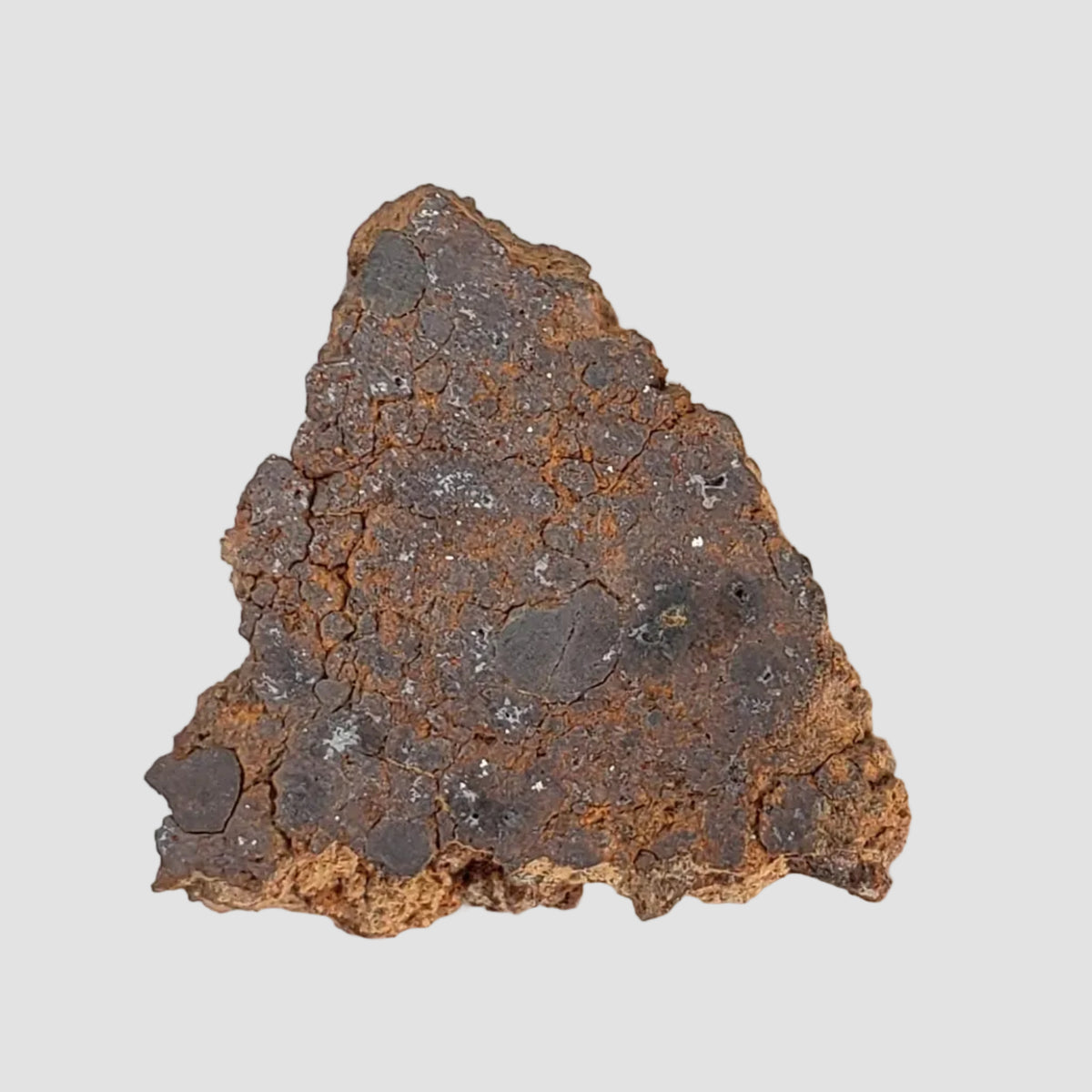 NWA 2849 Meteorite | 5.5 grams | Part Slice | L4 | Low TKW 6
