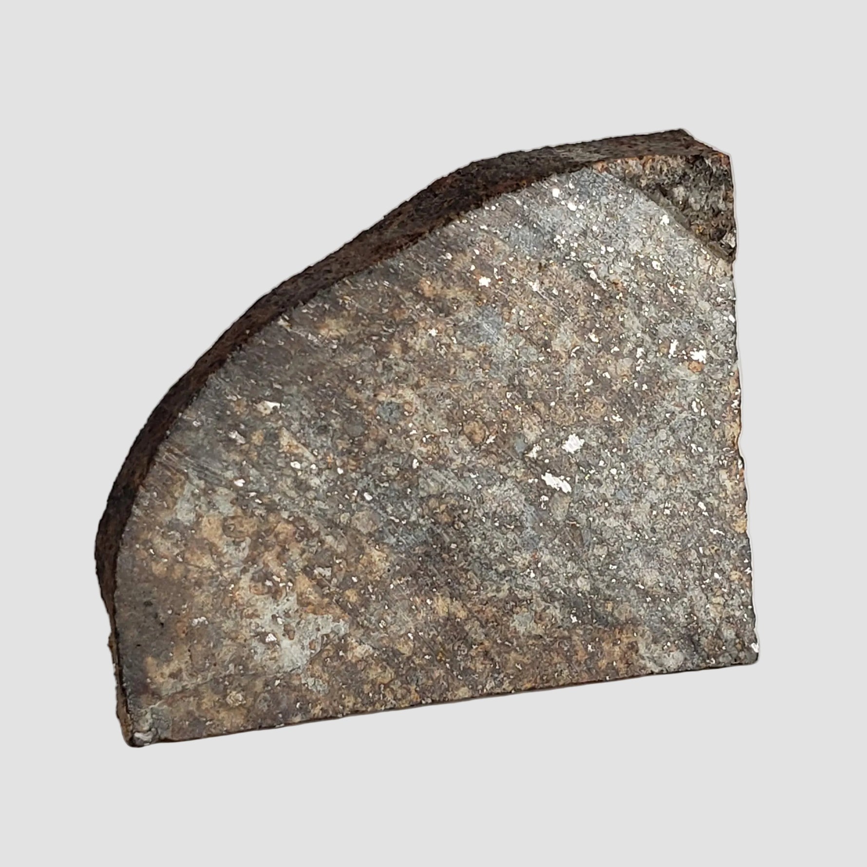  NWA 2857 Meteorite | 11.3 grams | Part Slice | L4 | Sahara Desert 5