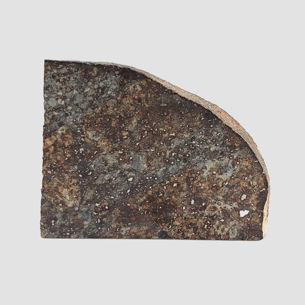  NWA 2857 Meteorite | 11.3 grams | Part Slice | L4 | Sahara Desert 3