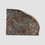  NWA 2857 Meteorite | 11.3 grams | Part Slice | L4 | Sahara Desert 3