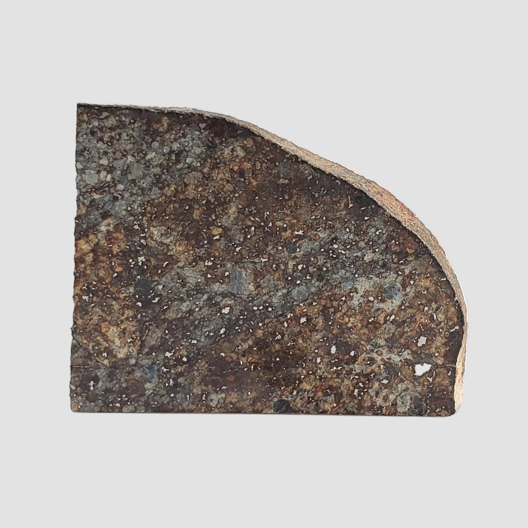 NWA 2857 Meteorite | 11.3 grams | Part Slice | L4 | Sahara Desert 3