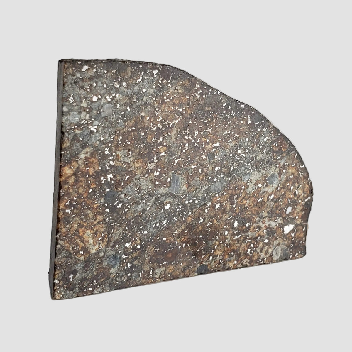  NWA 2857 Meteorite | 11.3 grams | Part Slice | L4 | Sahara Desert 4