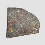  NWA 2857 Meteorite | 11.3 grams | Part Slice | L4 | Sahara Desert 4