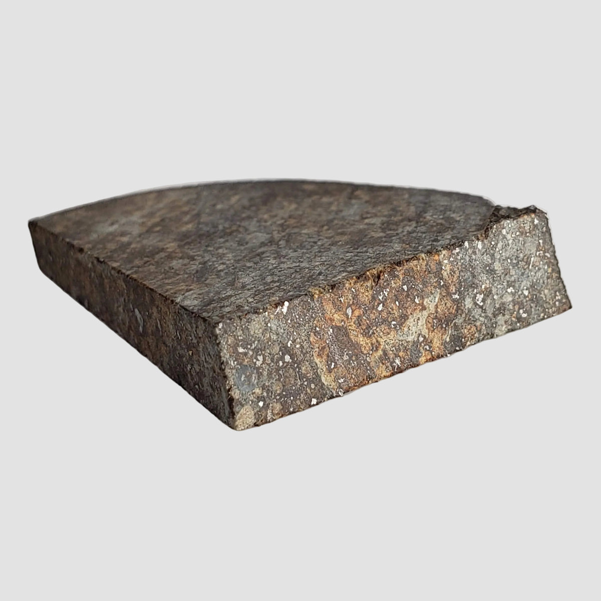  NWA 2857 Meteorite | 11.3 grams | Part Slice | L4 | Sahara Desert 7