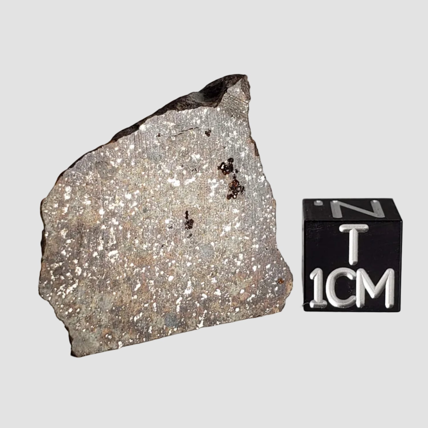 NWA 2858 Meteorite | 9.7 Grams | Part Slice | L4 | Sahara Desert