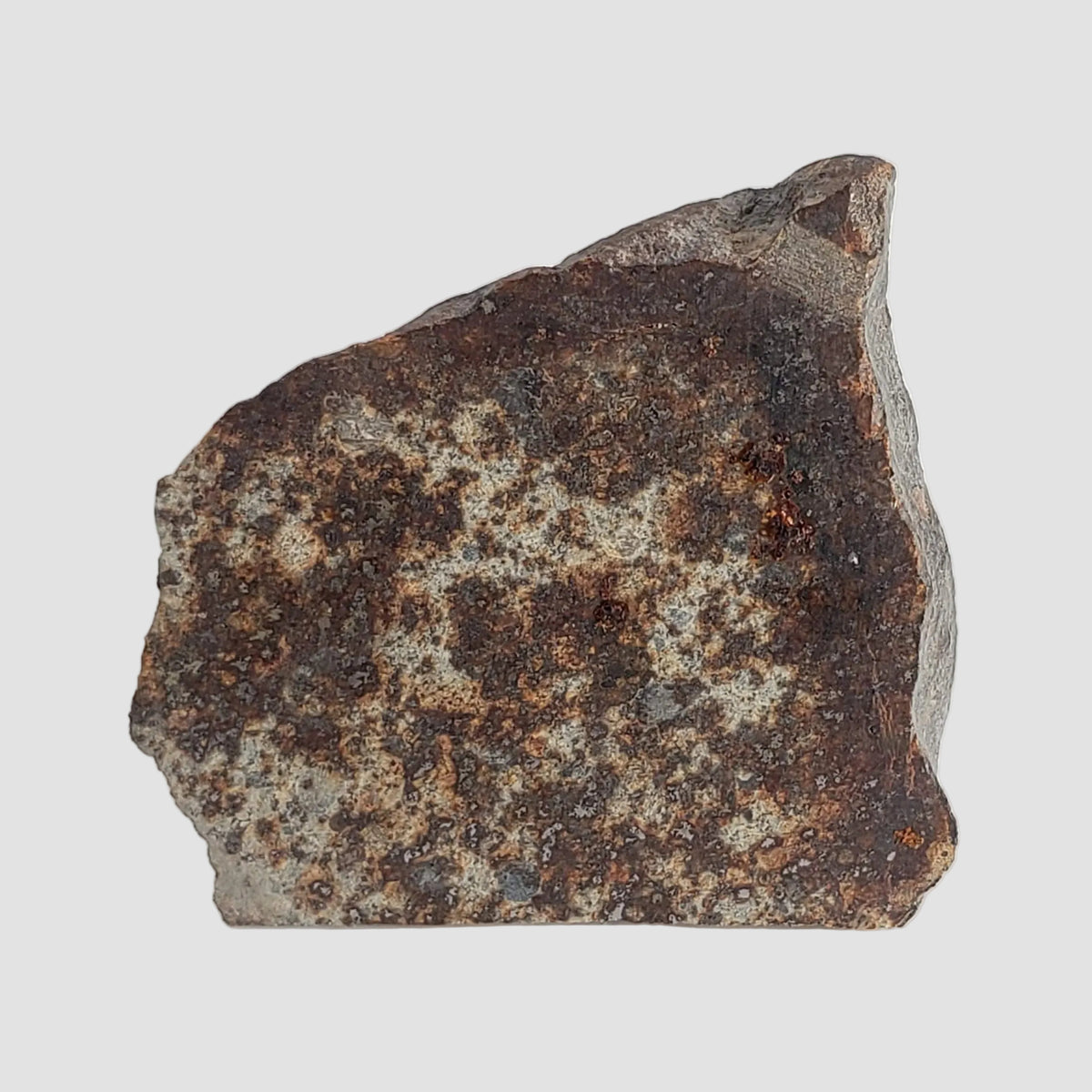  NWA 2858 Meteorite | 9.7 Grams | Part Slice | L4 | Sahara Desert 2