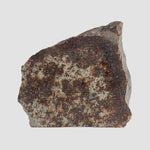 NWA 2858 Meteorite | 9.7 Grams | Part Slice | L4 | Sahara Desert 2
