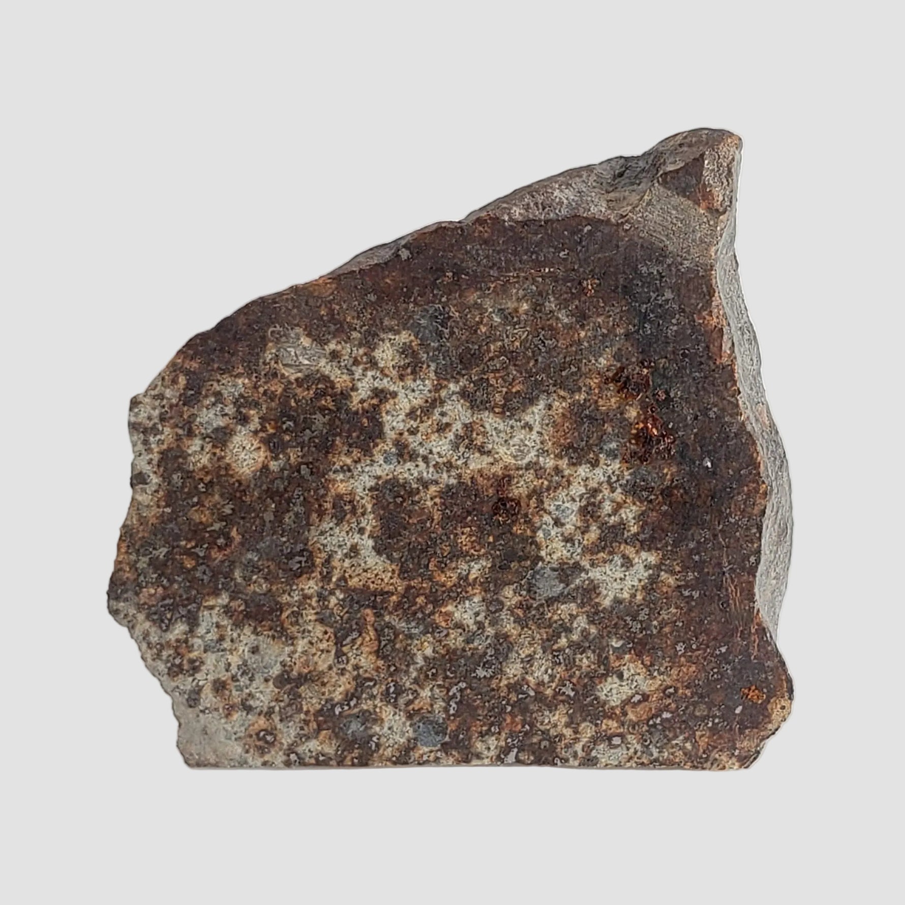 NWA 2858 Meteorite | 9.7 Grams | Part Slice | L4 | Sahara Desert 2
