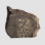  NWA 2858 Meteorite | 9.7 Grams | Part Slice | L4 | Sahara Desert 3