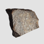  NWA 2858 Meteorite | 9.7 Grams | Part Slice | L4 | Sahara Desert 1