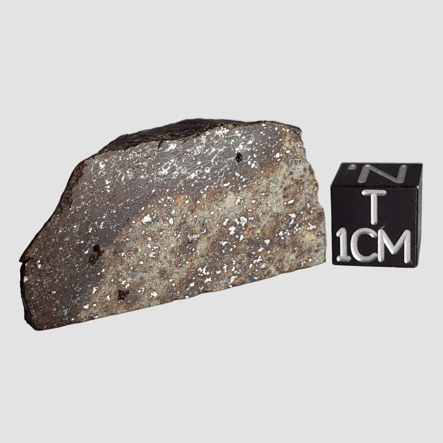  NWA 2858 Meteorite | L4 Slice | 13.2 Grams | Sahara Desert 