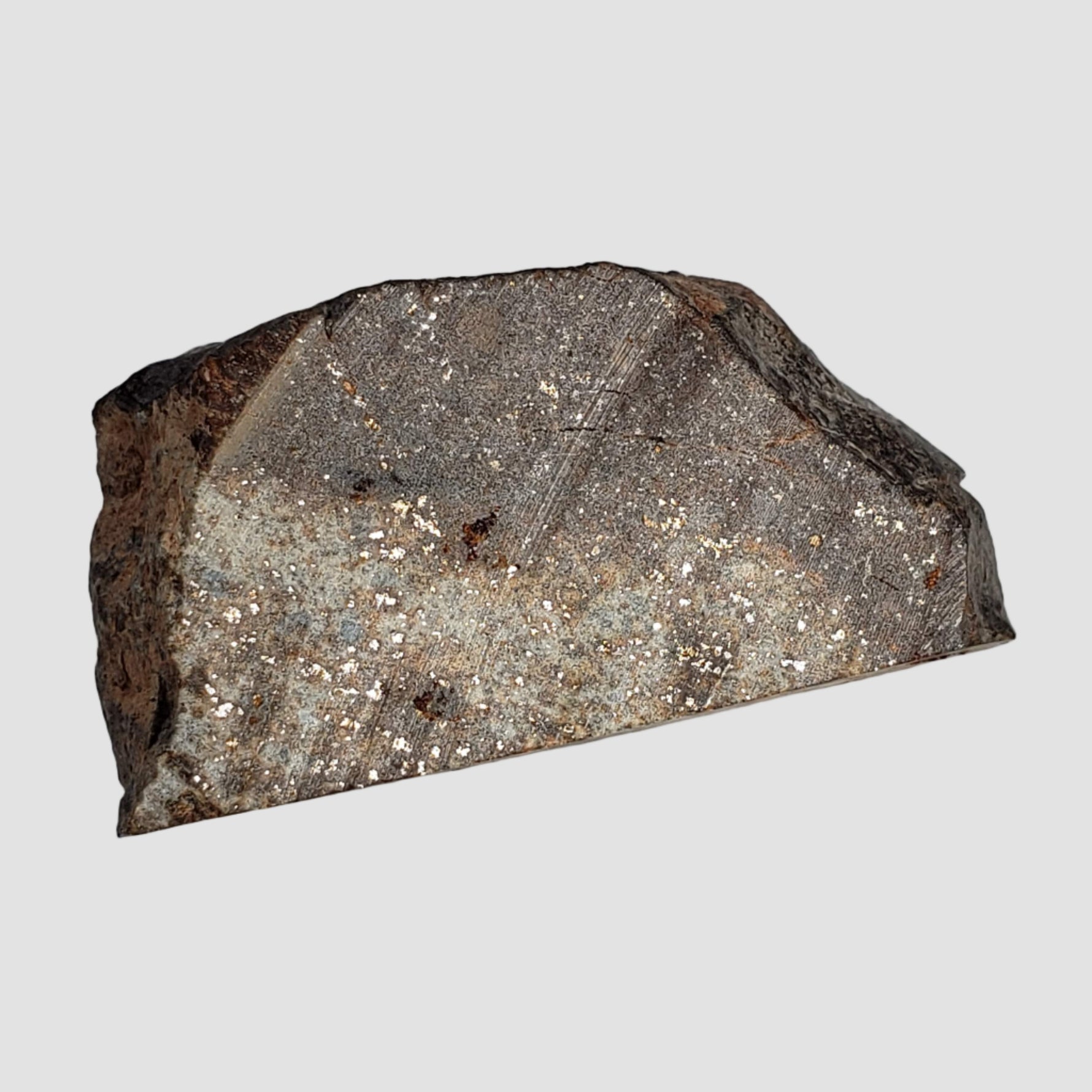  NWA 2858 Meteorite | L4 Slice | 13.2 Grams | Sahara Desert 1
