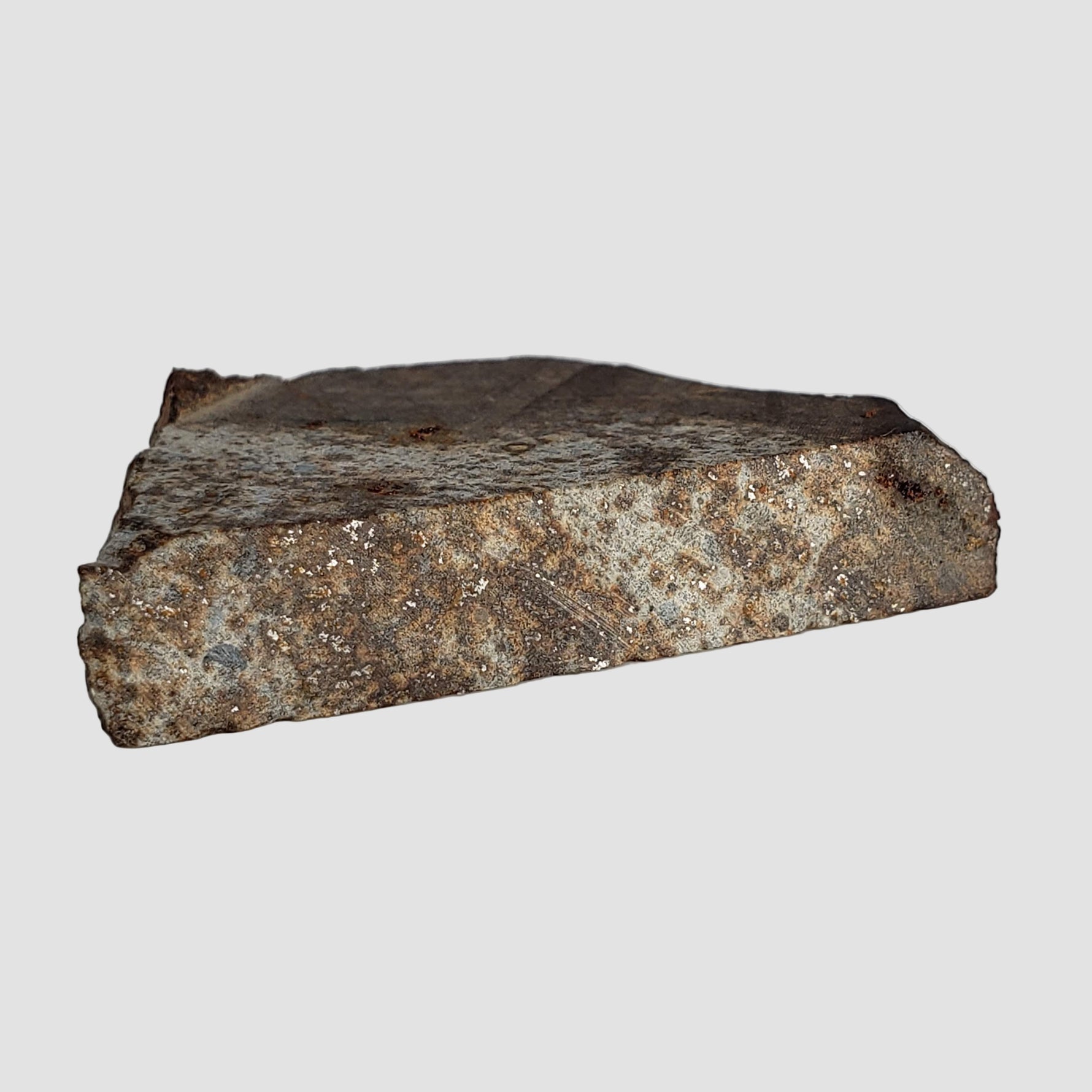  NWA 2858 Meteorite | L4 Slice | 13.2 Grams | Sahara Desert 2