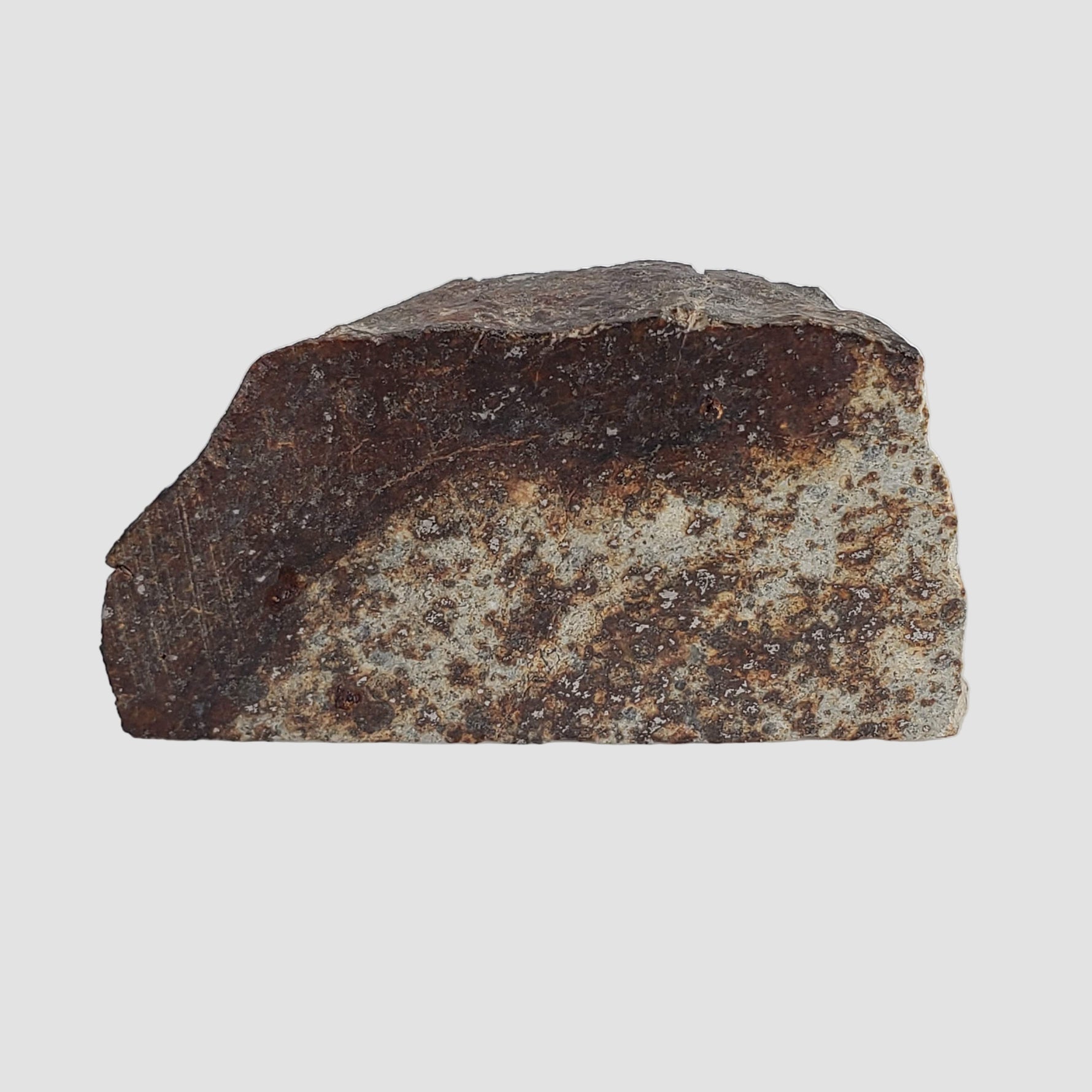  NWA 2858 Meteorite | L4 Slice | 13.2 Grams | Sahara Desert 3
