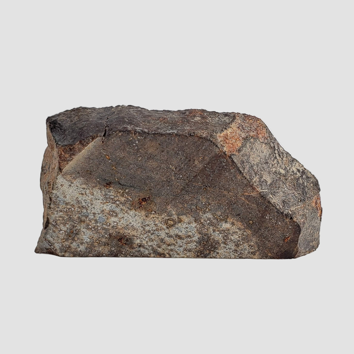  NWA 2858 Meteorite | L4 Slice | 13.2 Grams | Sahara Desert 4