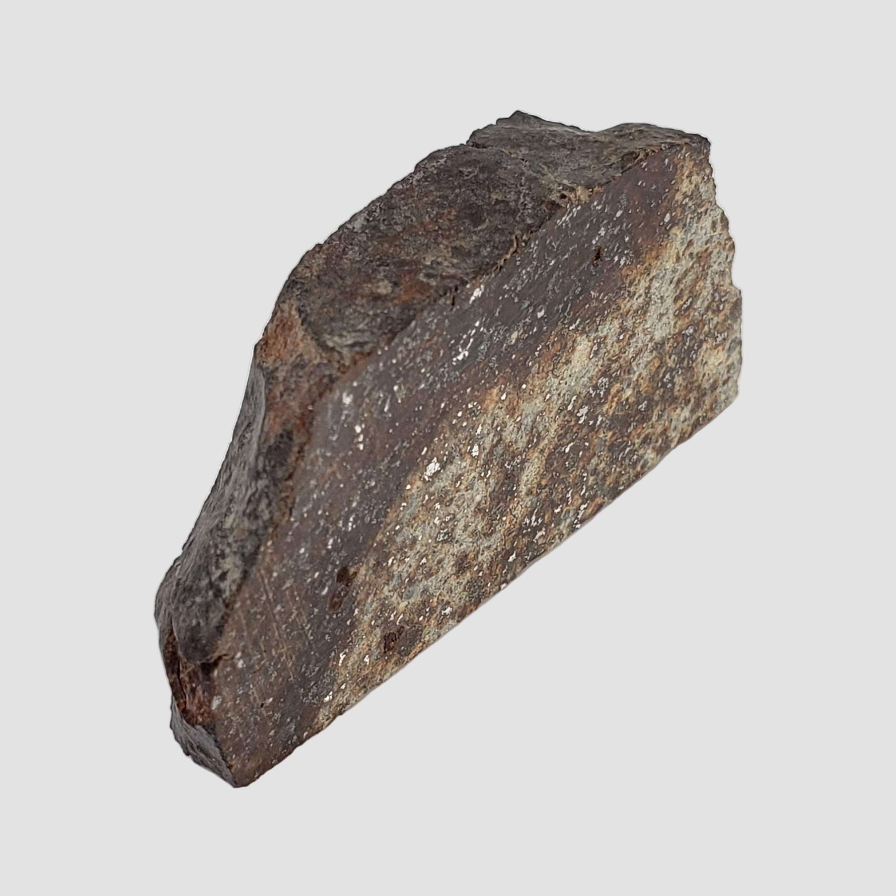  NWA 2858 Meteorite | L4 Slice | 13.2 Grams | Sahara Desert 7