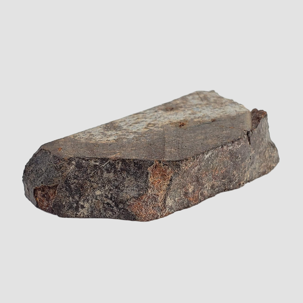  NWA 2858 Meteorite | L4 Slice | 13.2 Grams | Sahara Desert 5