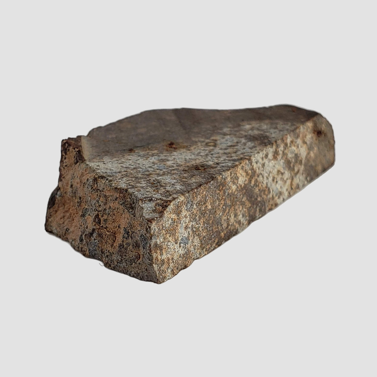  NWA 2858 Meteorite | L4 Slice | 13.2 Grams | Sahara Desert 6