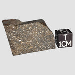 NWA 2859 Meteorite | 10.6 Grams | Part Slice | H4 | Sahara Desert 0