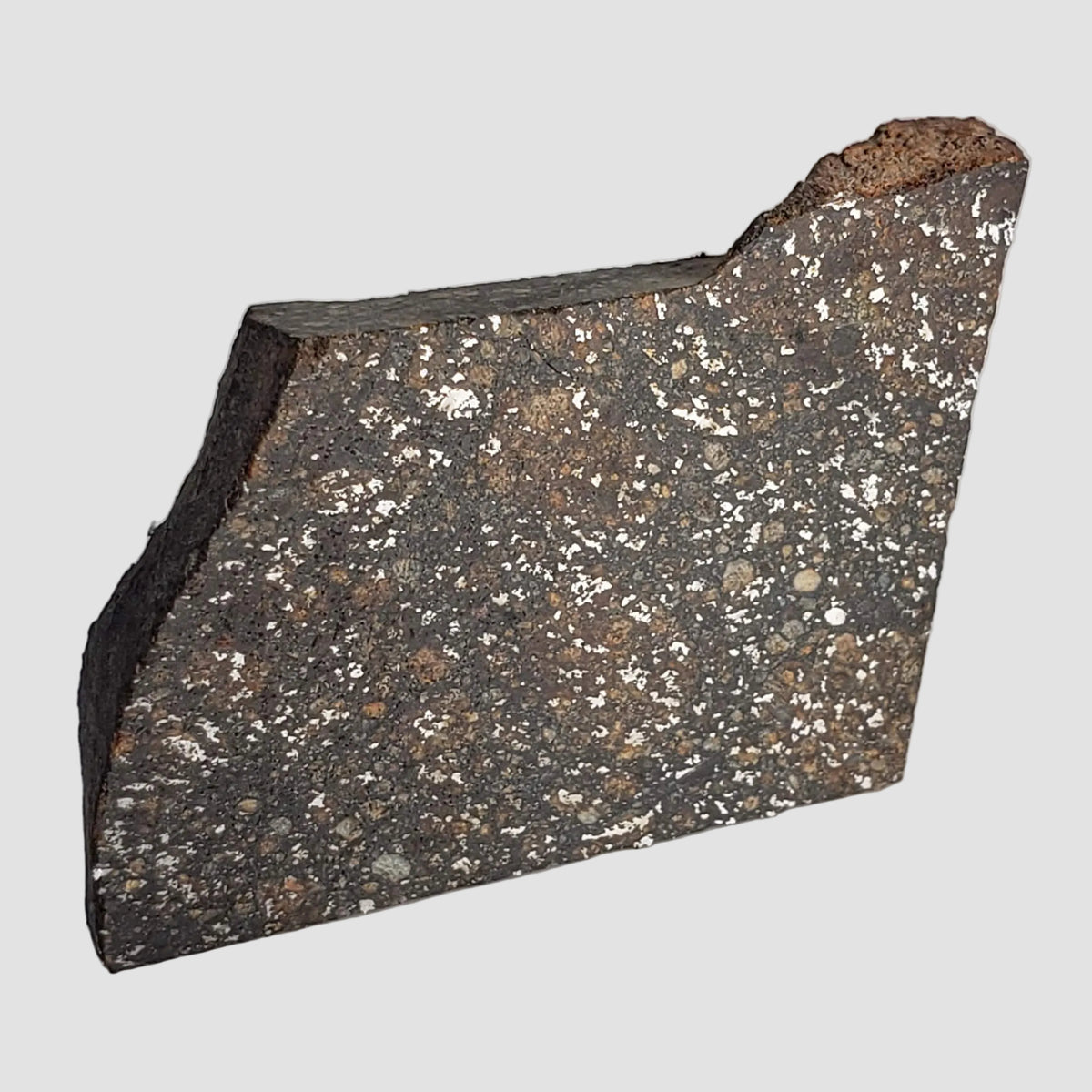 NWA 2859 Meteorite | 10.6 Grams | Part Slice | H4 | Sahara Desert 2