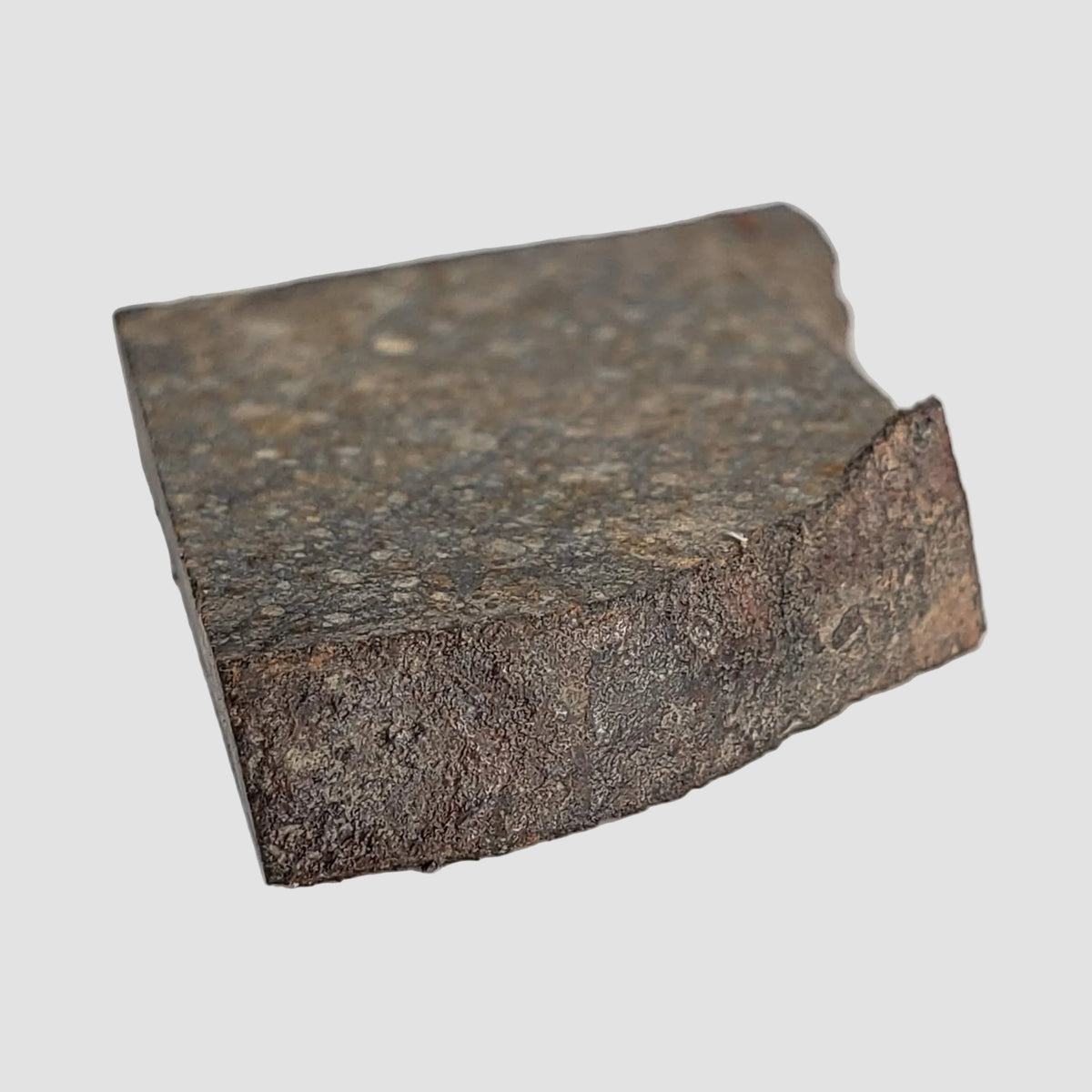 NWA 2859 Meteorite | 10.6 Grams | Part Slice | H4 | Sahara Desert 3