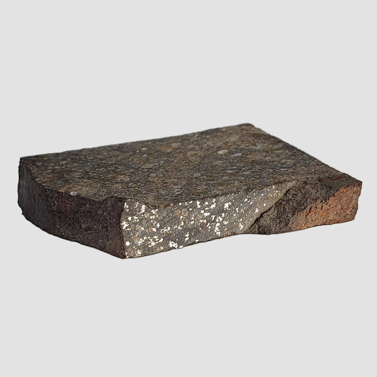 NWA 2859 Meteorite | 10.6 Grams | Part Slice | H4 | Sahara Desert 4