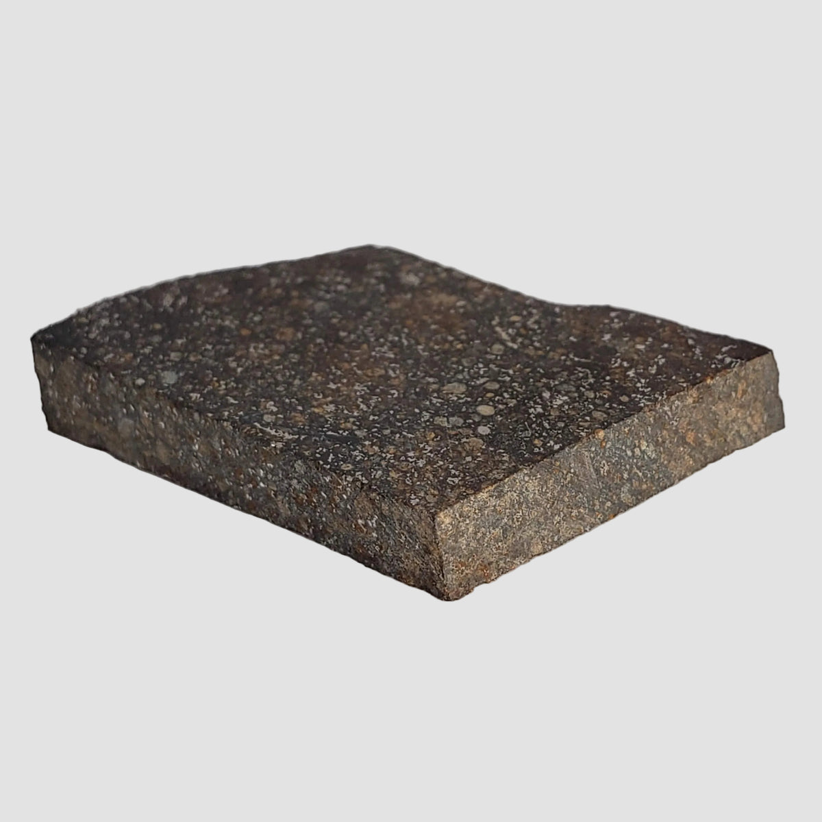 NWA 2859 Meteorite | 10.6 Grams | Part Slice | H4 | Sahara Desert 5