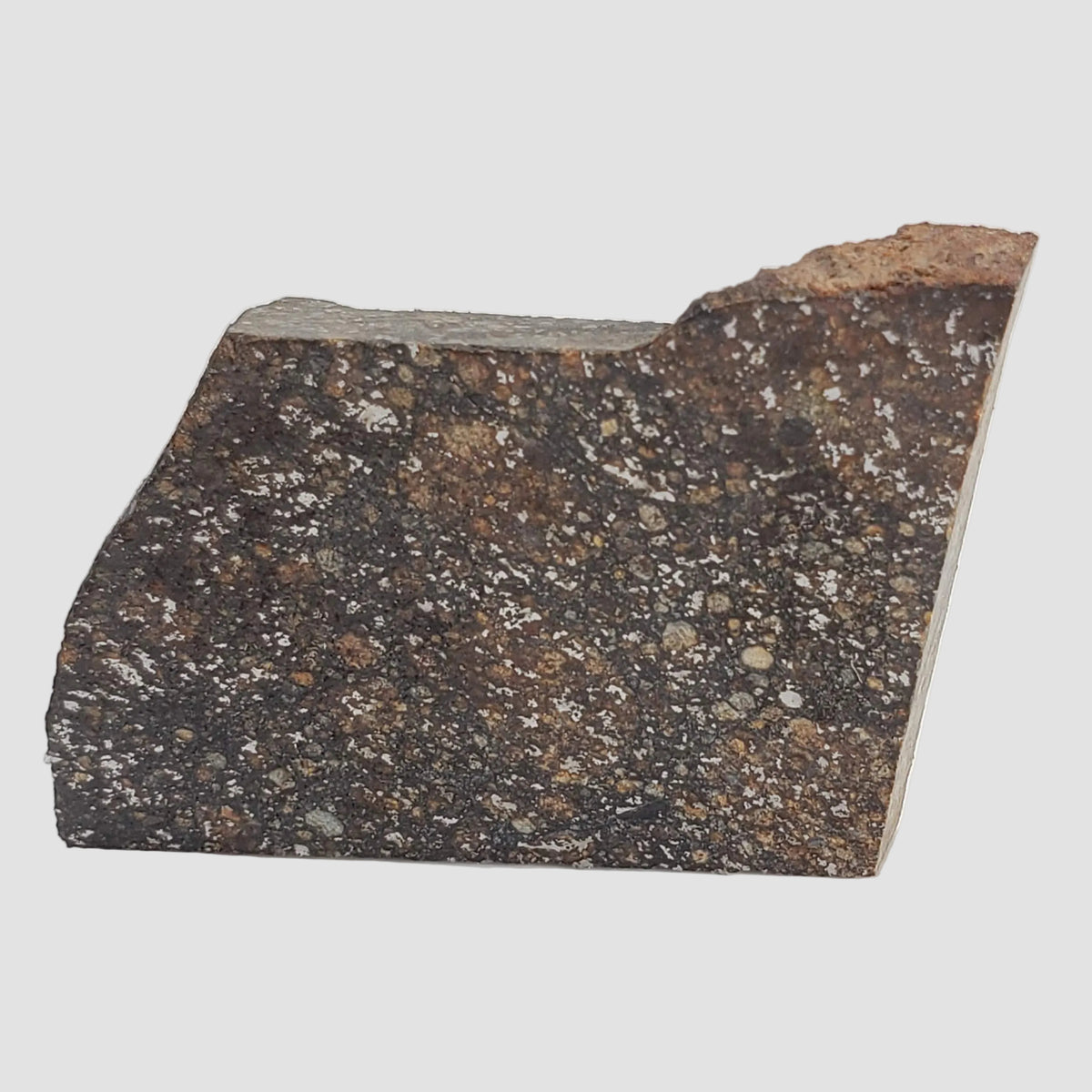 NWA 2859 Meteorite | 10.6 Grams | Part Slice | H4 | Sahara Desert 6