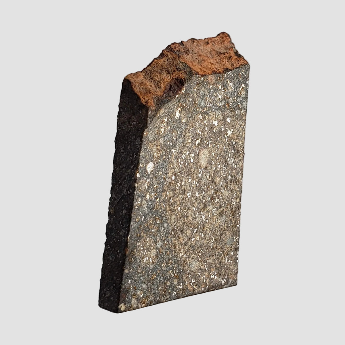  NWA 2859 Meteorite | 8 Grams | Part Slice | H4 | Sahara Desert 1