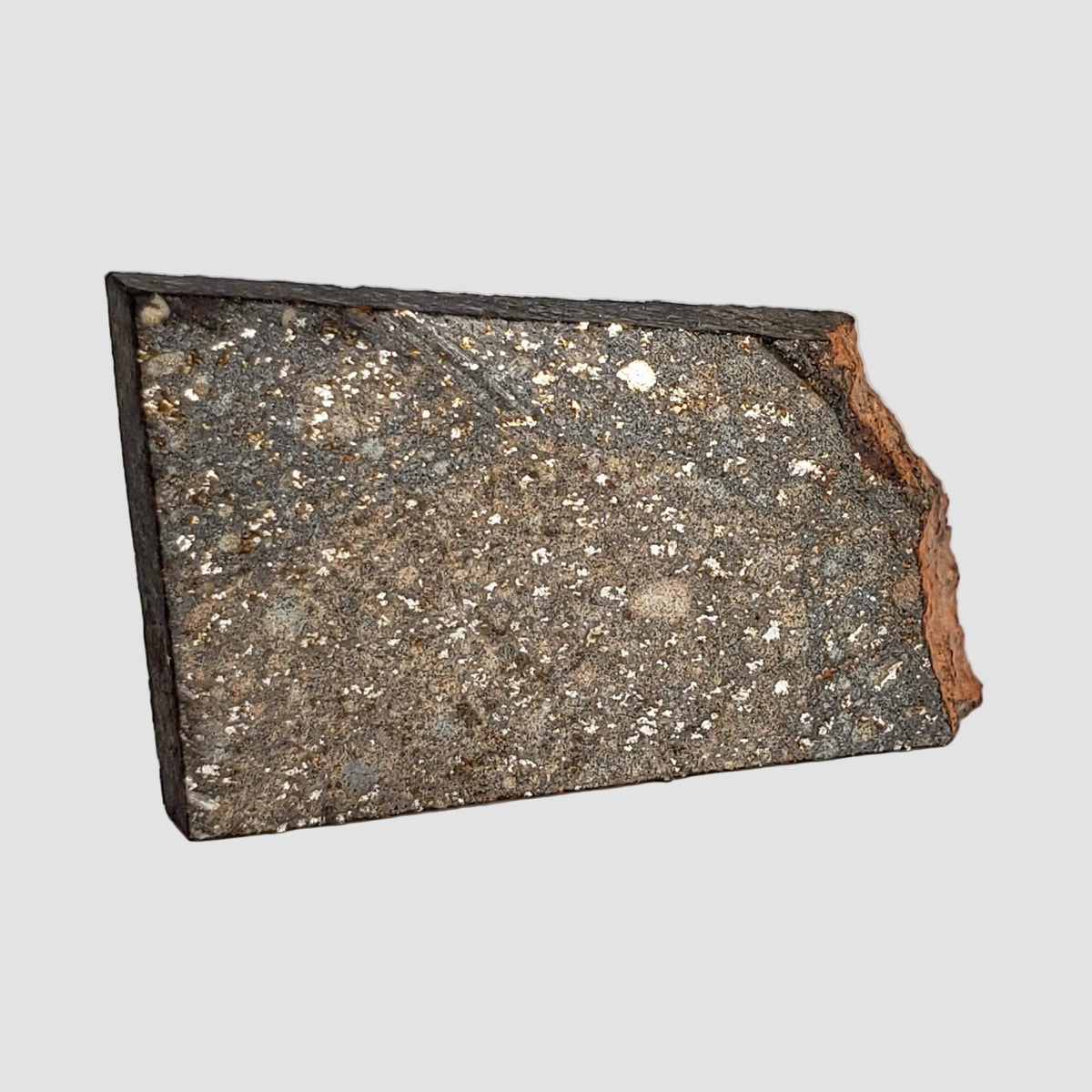  NWA 2859 Meteorite | 8 Grams | Part Slice | H4 | Sahara Desert 2