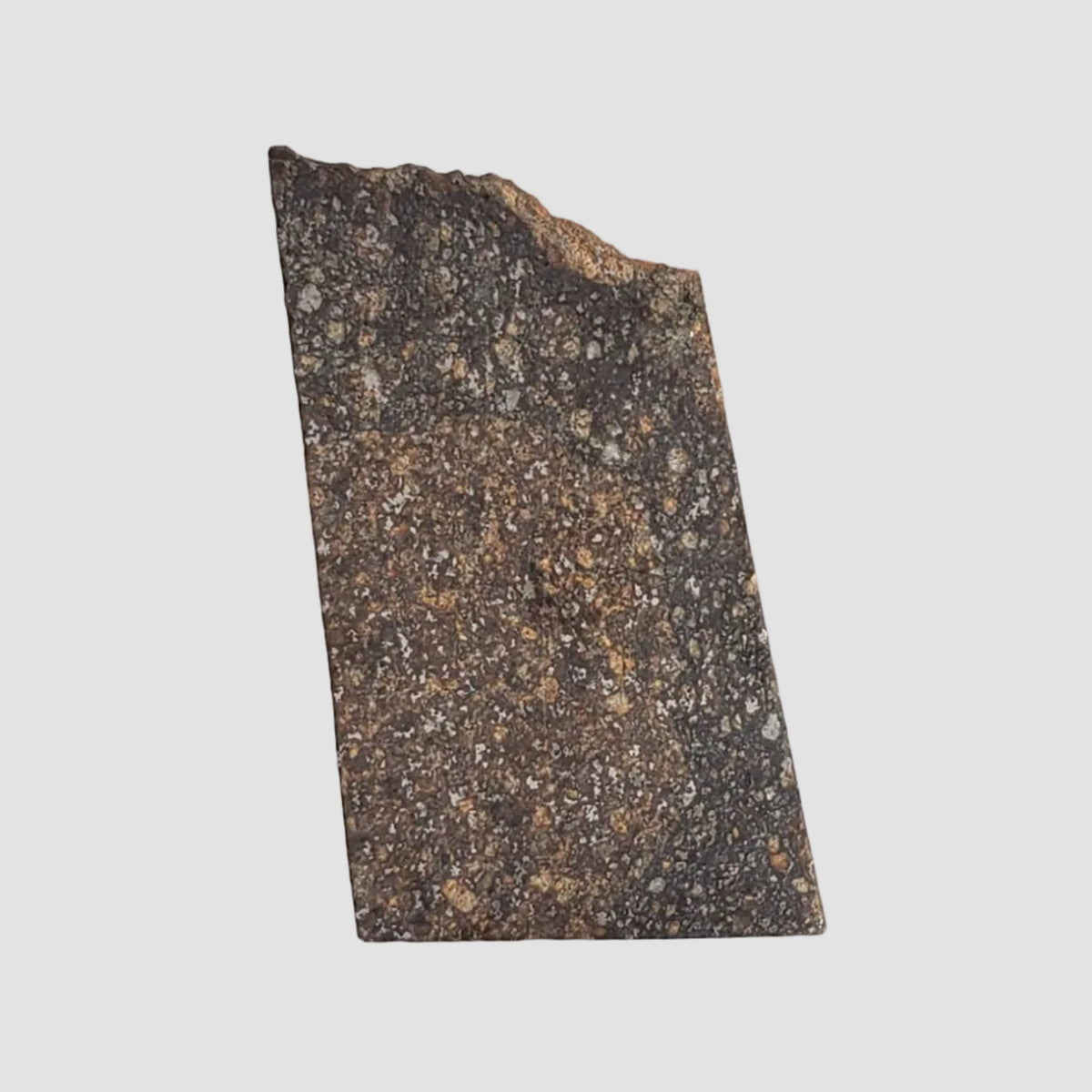  NWA 2859 Meteorite | 8 Grams | Part Slice | H4 | Sahara Desert 5