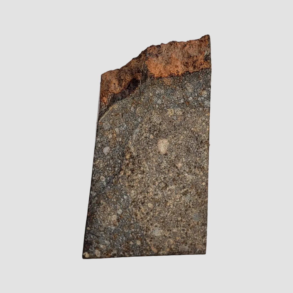  NWA 2859 Meteorite | 8 Grams | Part Slice | H4 | Sahara Desert 6