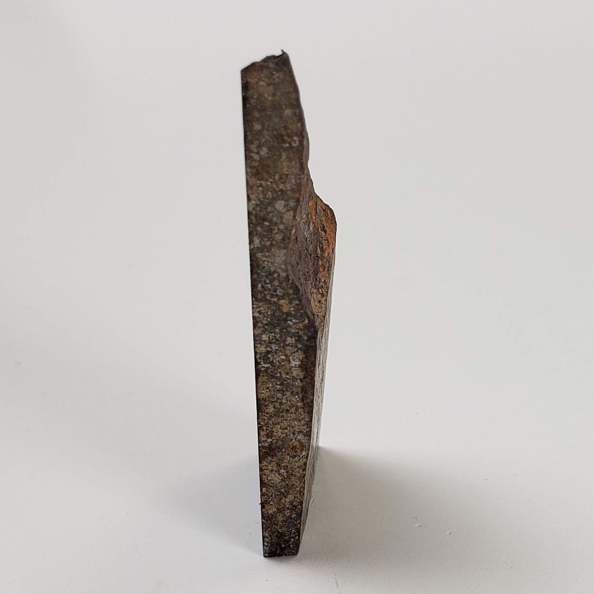  NWA 2859 Meteorite | H4 Slice | 10.4 Grams | Sahara Desert 5