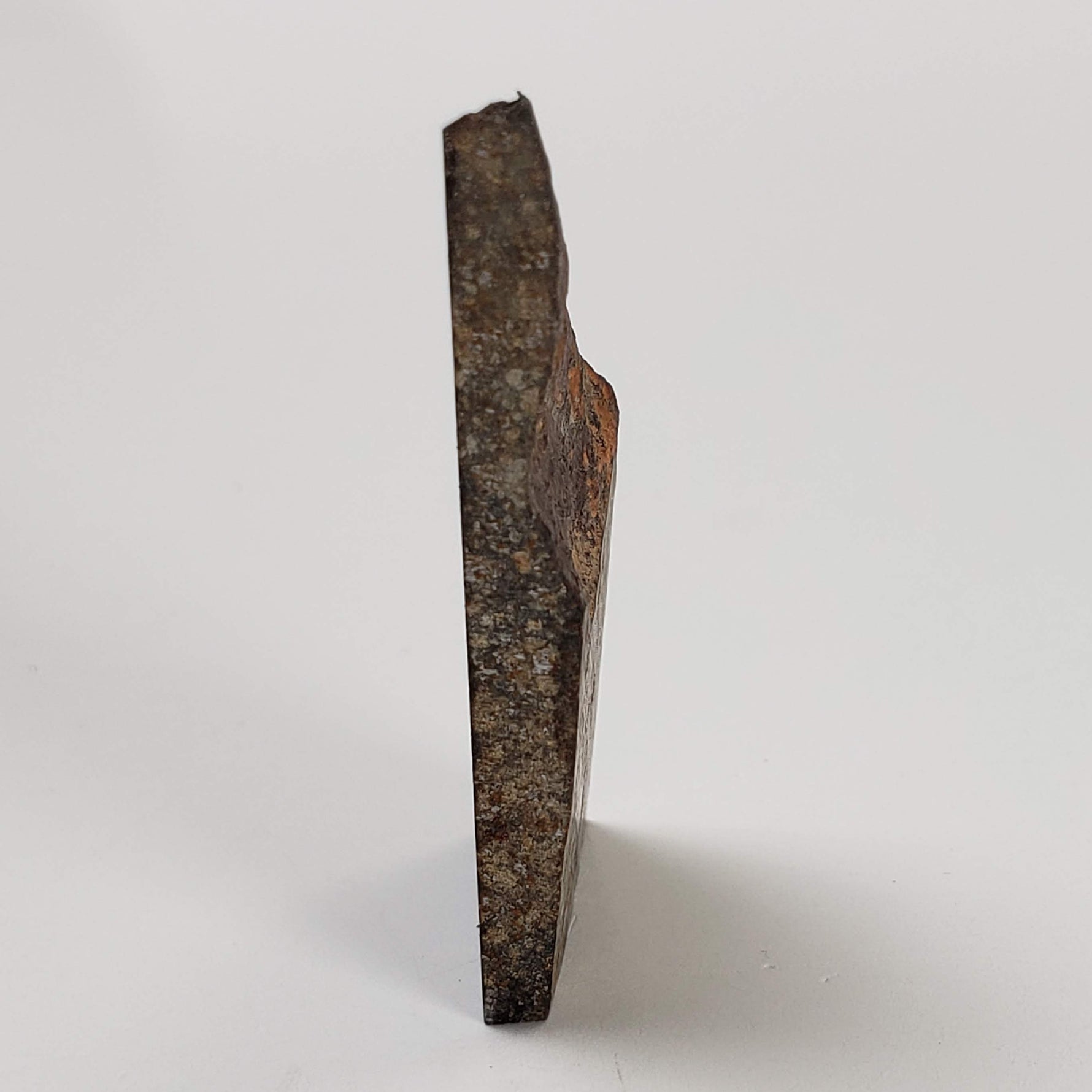  NWA 2859 Meteorite | H4 Slice | 10.4 Grams | Sahara Desert 5