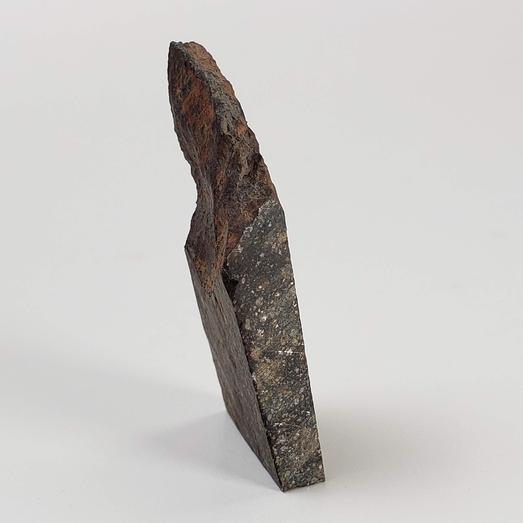  NWA 2859 Meteorite | H4 Slice | 10.4 Grams | Sahara Desert 4