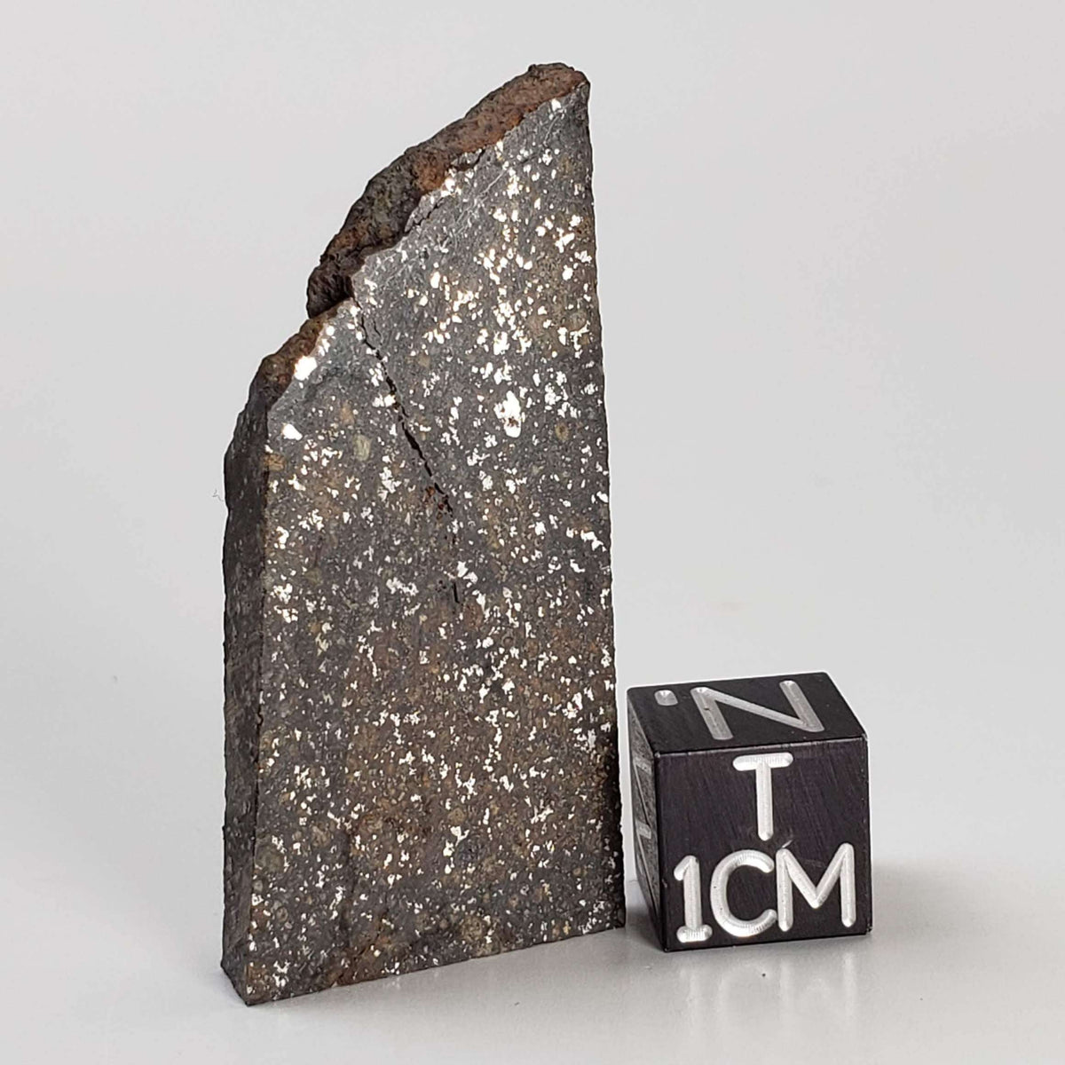  NWA 2859 Meteorite | H4 Slice | 10.4 Grams | Sahara Desert 