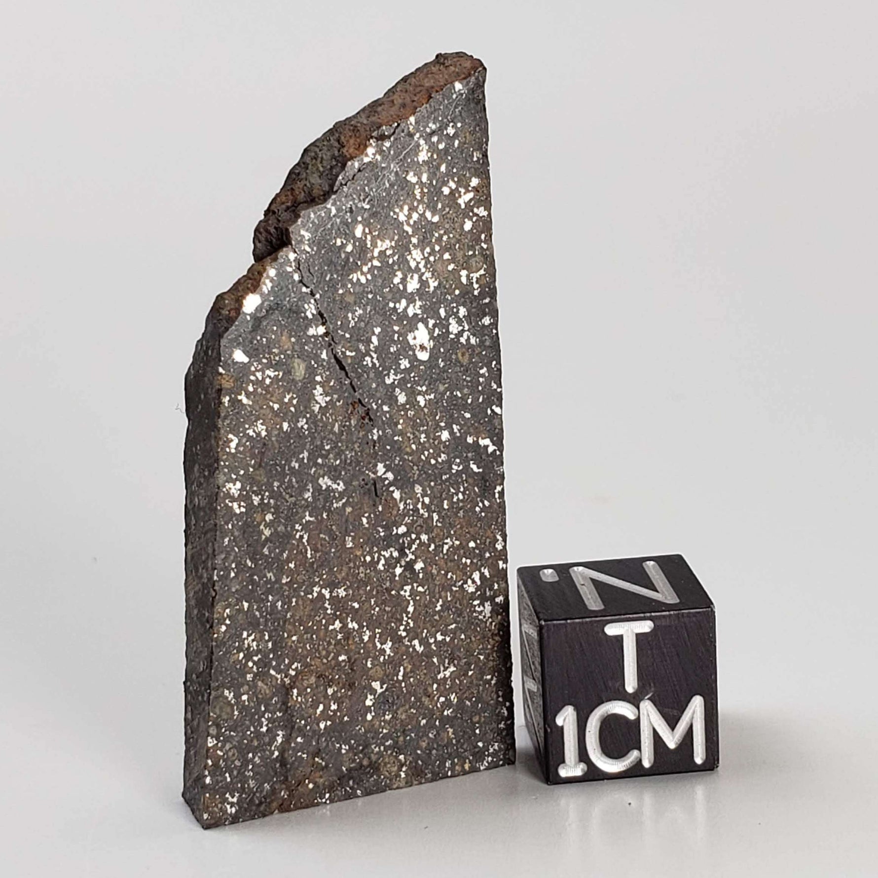  NWA 2859 Meteorite | H4 Slice | 10.4 Grams | Sahara Desert 