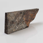  NWA 2859 Meteorite | H4 Slice | 10.4 Grams | Sahara Desert 1