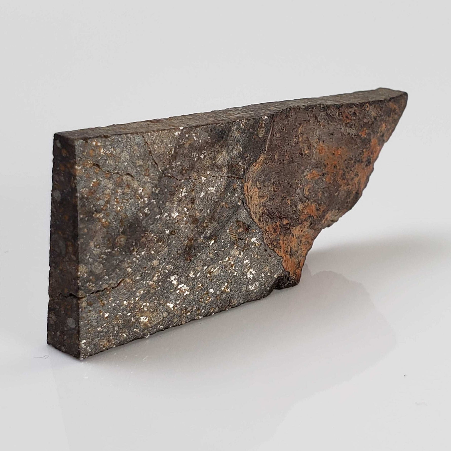  NWA 2859 Meteorite | H4 Slice | 10.4 Grams | Sahara Desert 1