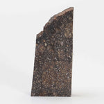  NWA 2859 Meteorite | H4 Slice | 10.4 Grams | Sahara Desert 2
