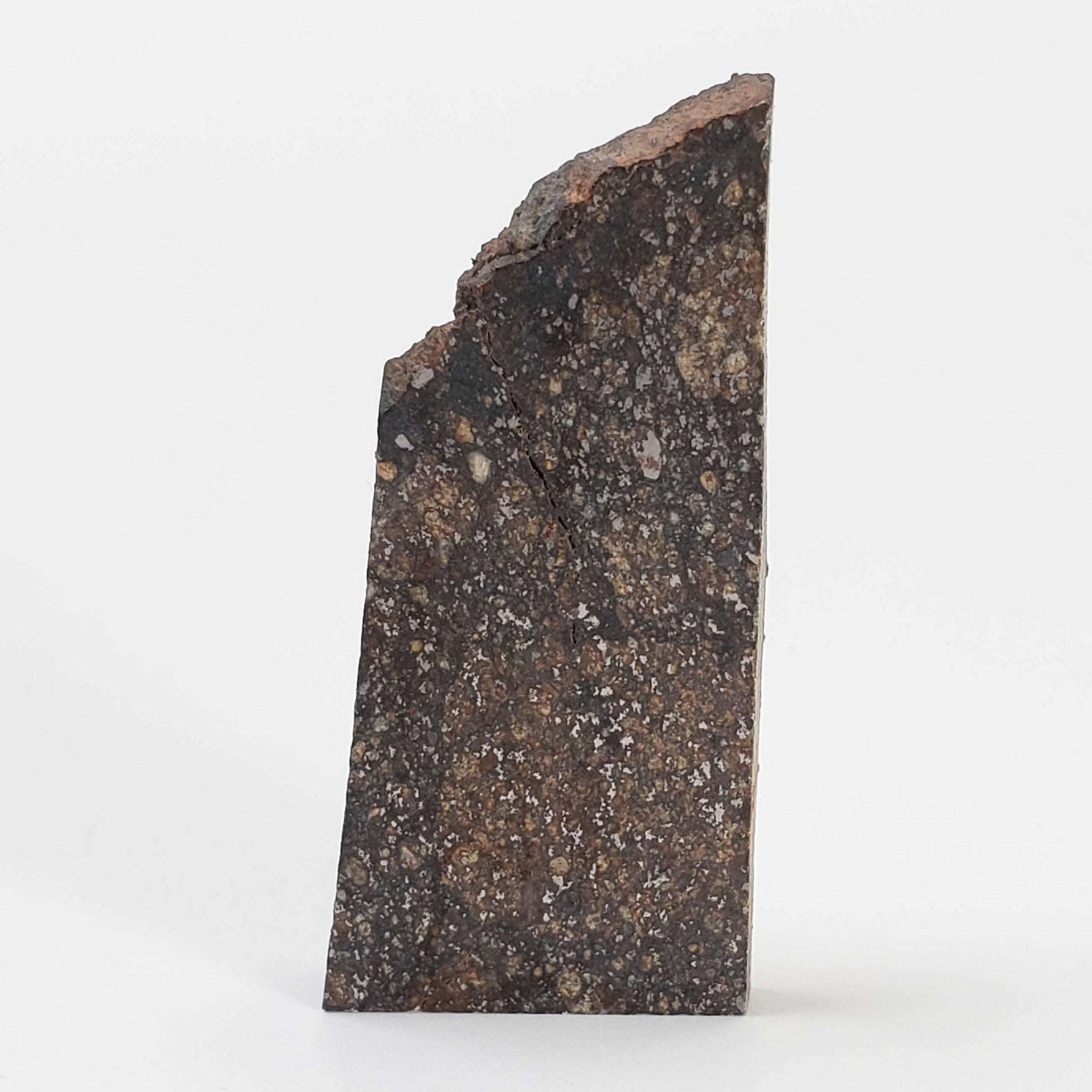  NWA 2859 Meteorite | H4 Slice | 10.4 Grams | Sahara Desert 2