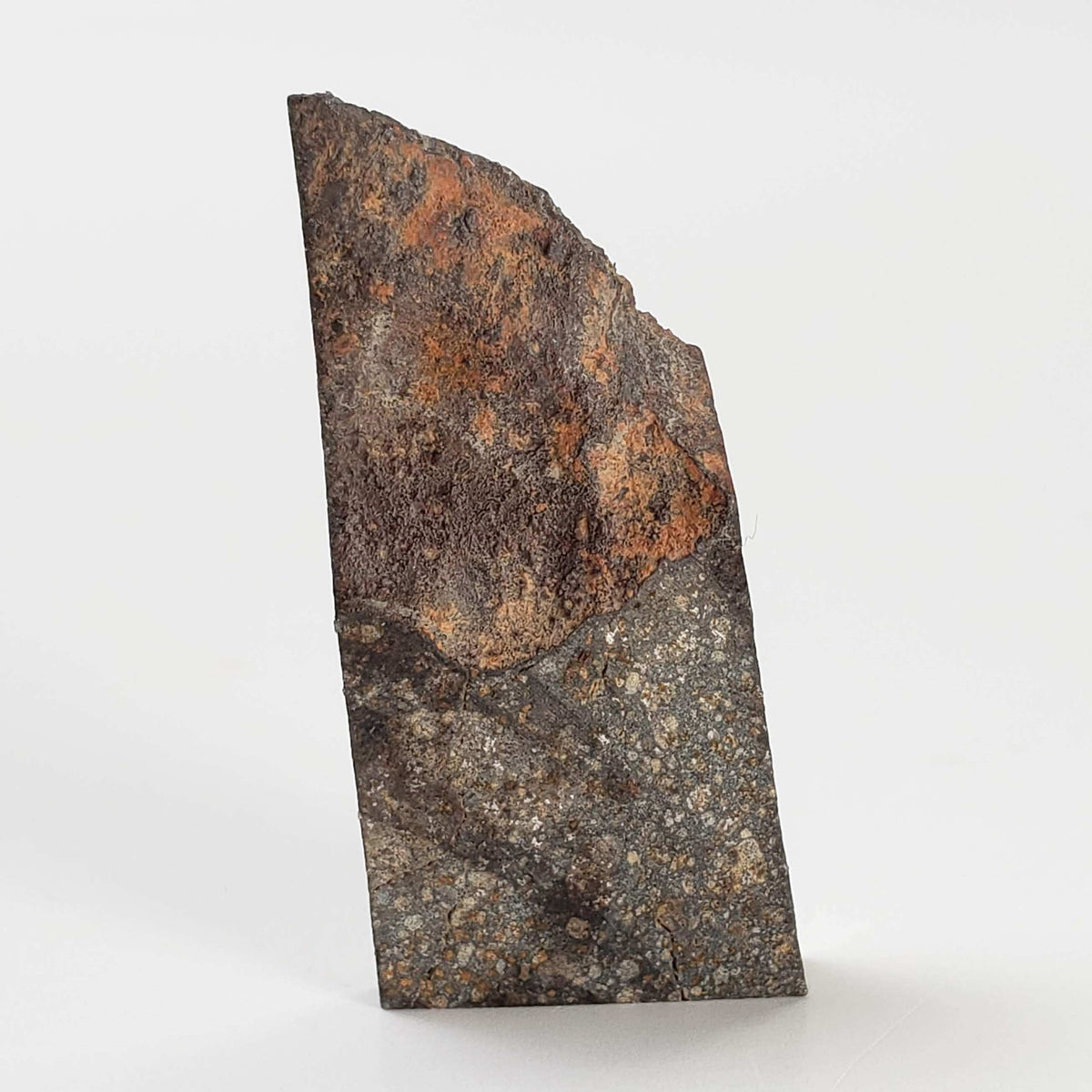  NWA 2859 Meteorite | H4 Slice | 10.4 Grams | Sahara Desert 3