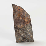  NWA 2859 Meteorite | H4 Slice | 10.4 Grams | Sahara Desert 3