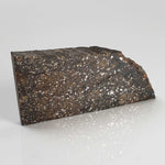  NWA 2859 Meteorite | H4 Slice | 10.4 Grams | Sahara Desert 6